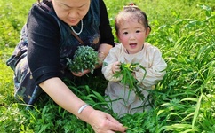 李毅吧黑木耳b全图